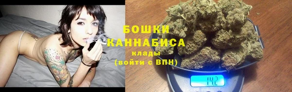 ГАЛЛЮЦИНОГЕННЫЕ ГРИБЫ Беломорск