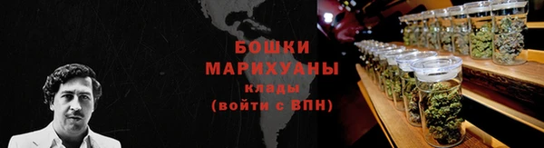ГАЛЛЮЦИНОГЕННЫЕ ГРИБЫ Беломорск