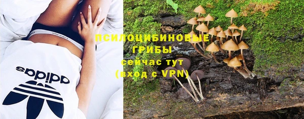 MDMA Premium VHQ Белокуриха