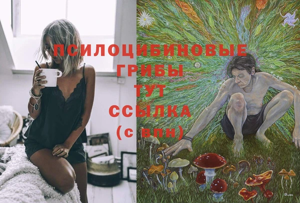 ГАЛЛЮЦИНОГЕННЫЕ ГРИБЫ Беломорск