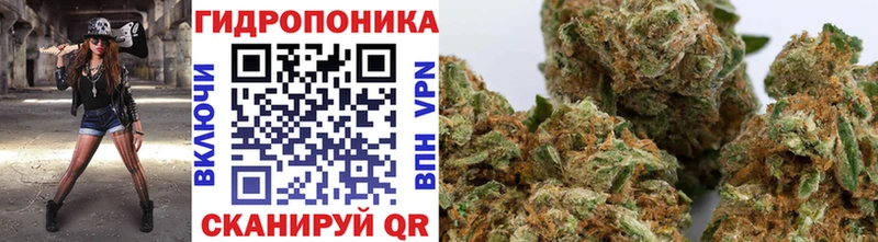 Конопля Amnesia  Мглин 